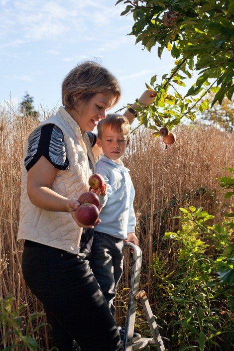 apple-picking